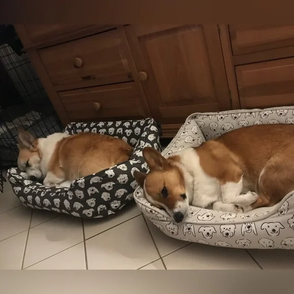 SHOP_ANARAE IS LIVE! NEW SPRING ARRIVALS - Picture 3 of 8